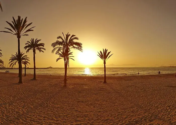 酒店 加勒比磨坊湾酒店 埃尔阿雷纳尔