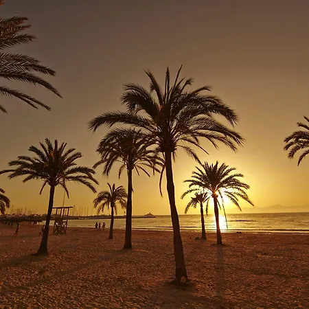 Mll Caribbean Bay Hotel El Arenal (Mallorca)