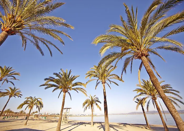 Mll Caribbean Bay Szálloda 3*